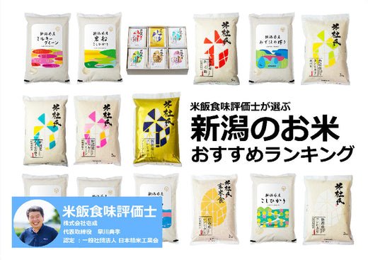 20kg 新米 キヌヒカリ ランク R6年 兵庫県産キヌヒカリ 20kg 10kg 2 山
