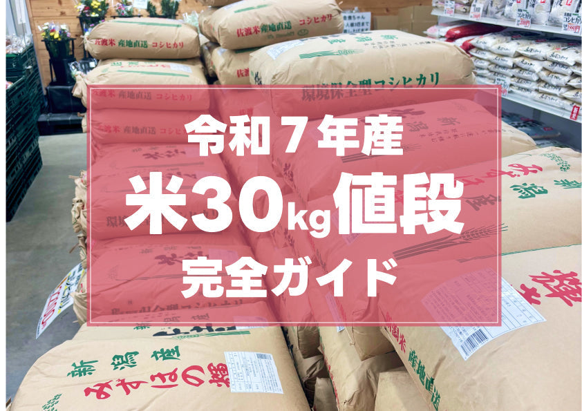 2026年最新】米30kgの値段はいくら？相場・スーパー価格・農家直販を比較