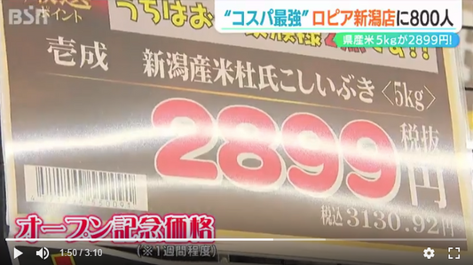 ロピアに並ぶ米杜氏こしいぶき5kg2899円の値札