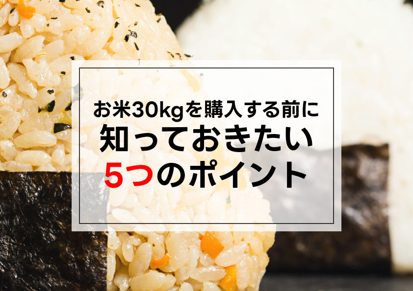 お米30キロを購入する前に知っておきたい5つのポイント