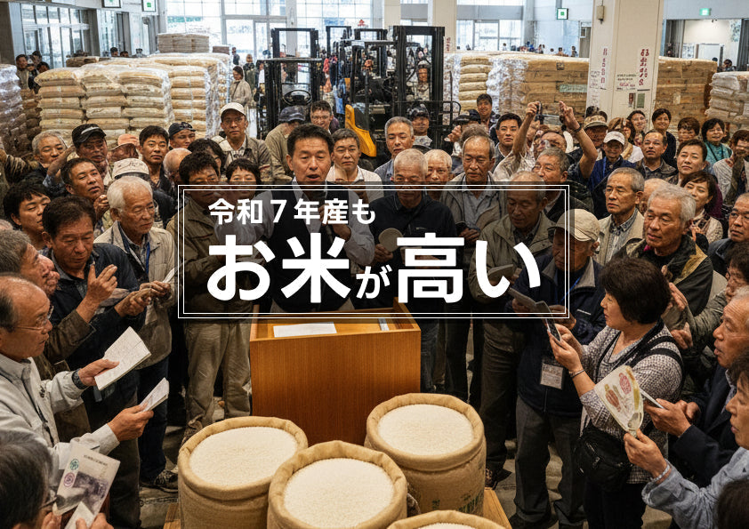 令和7年産 新潟コシヒカリの価格動向【お米は高級品に?】