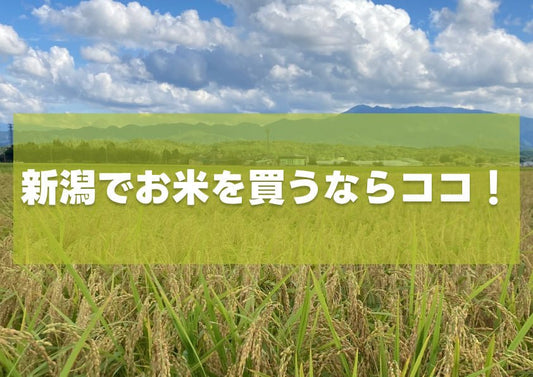 新潟で美味しいお米を買うなら - 新潟のお米 通販 - 米杜氏【公式】オンラインショップ