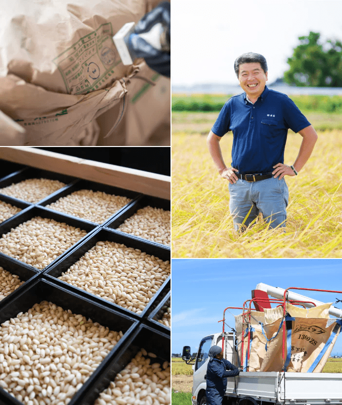 お米の収穫・検査