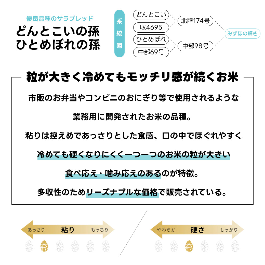 みずほの輝きの品種特性