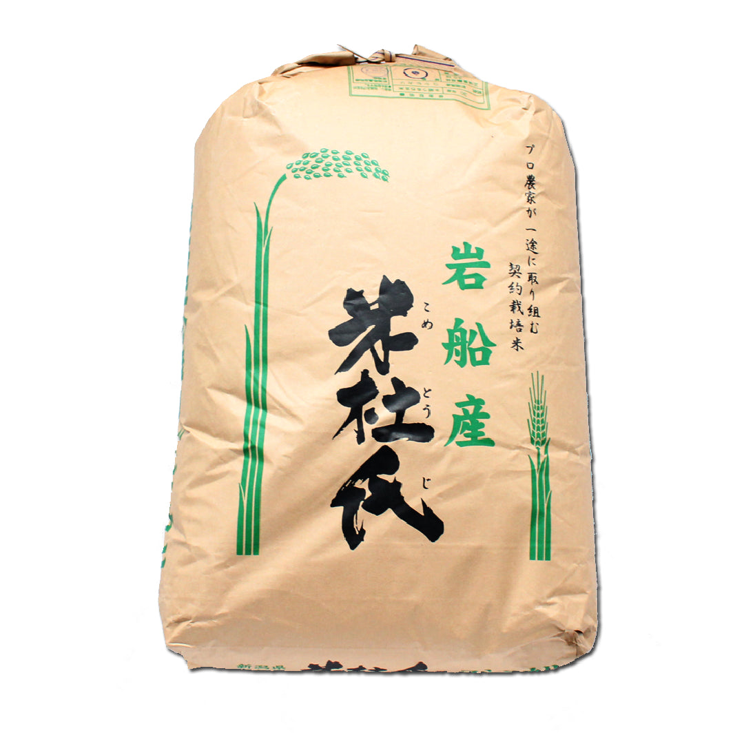 コシヒカリ30kg-　新潟県　岩船産