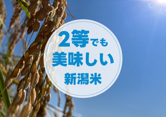 【118名に聞いた】2等米の食味とは？美味い？マズい？新潟コシヒカリ - 新潟のお米 通販 - 米杜氏【公式】オンラインショップ