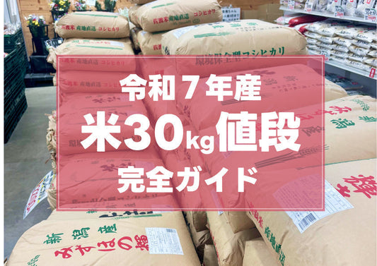 令和７年産新潟米30kg値段完全ガイド