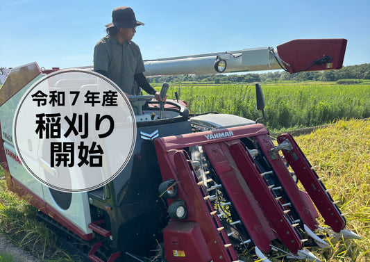令和７年産・新米の収穫が始まる
