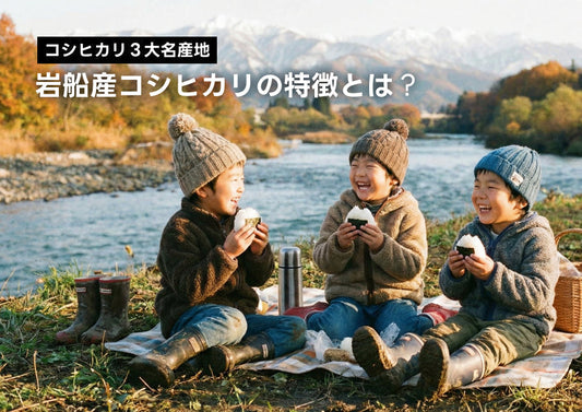 岩船産コシヒカリの特徴