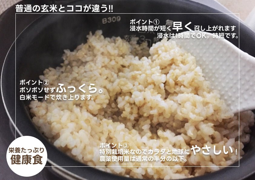 【時短】簡単にできる！美味しい玄米の炊き方 - 新潟のお米 通販 - 米杜氏【公式】オンラインショップ