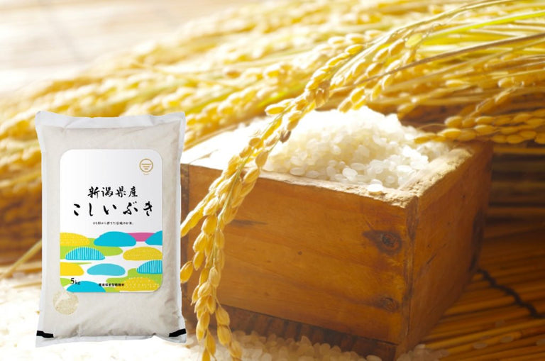 【コスパ最高】新潟で人気No.2の米「こしいぶき」の特徴とは