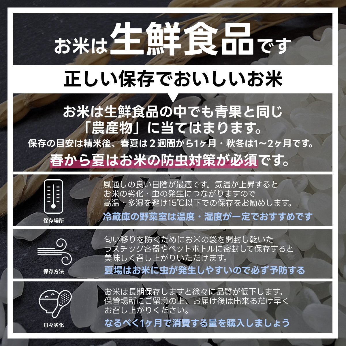 お米の保管方法