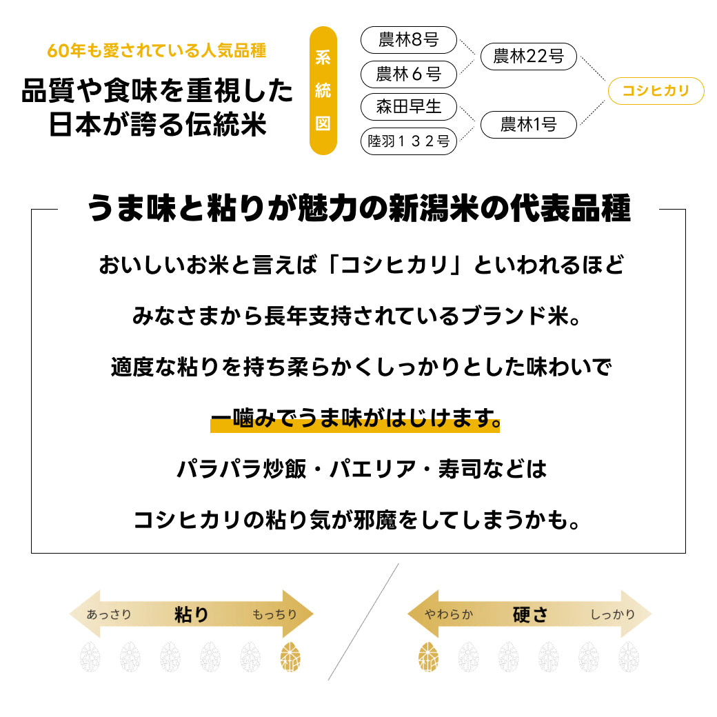 岩船産コシヒカリ 玄米 30kg 令和7年産 ｜お米通販・送料無料