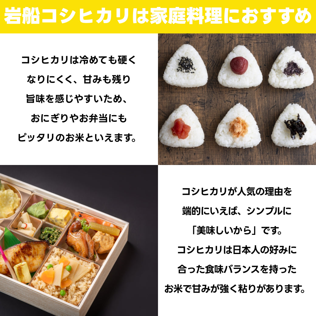 岩船産コシヒカリ 玄米 30kg 令和7年産 ｜お米通販・送料無料
