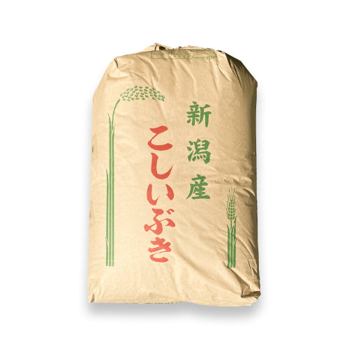 令和７年産こしいぶき30kg玄米