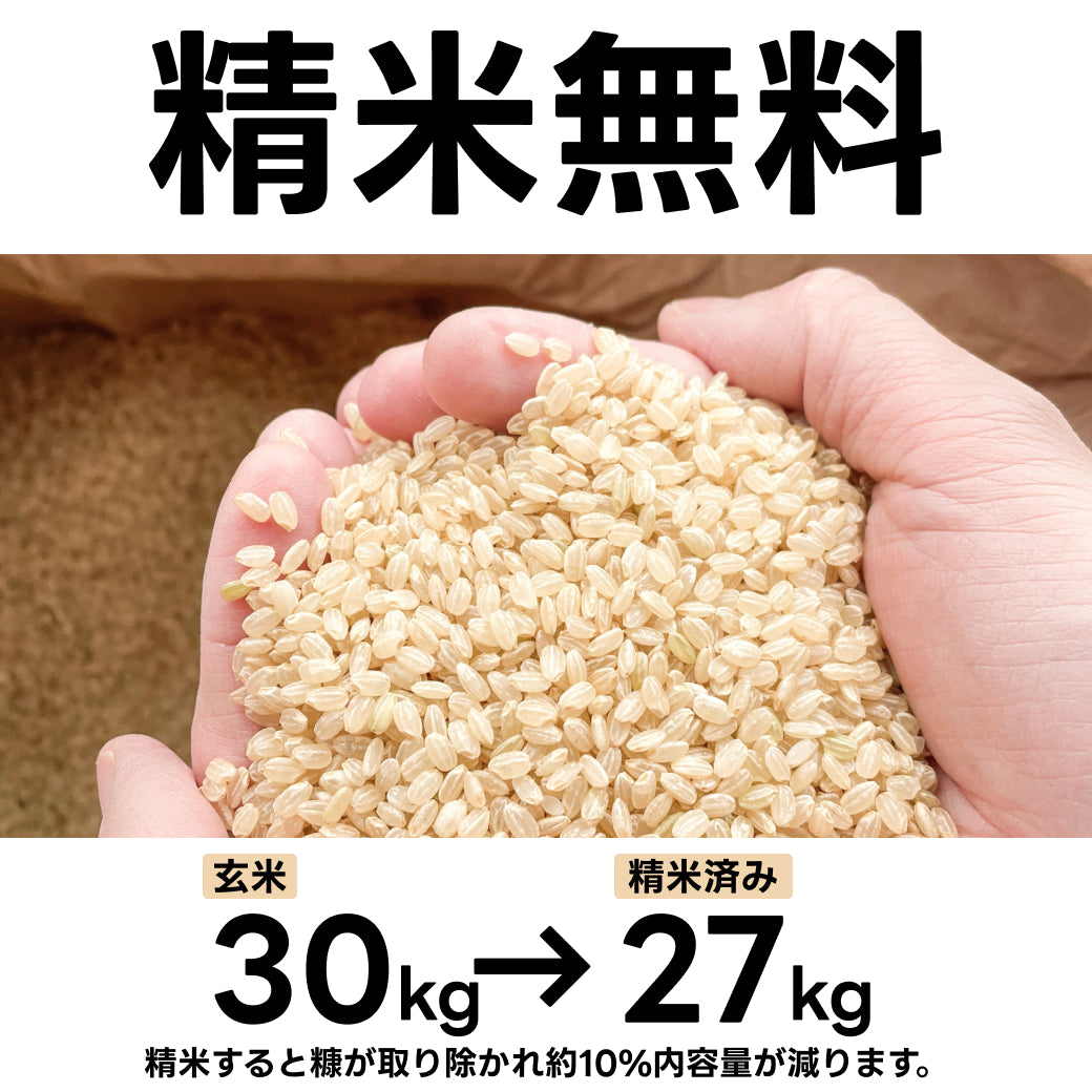 お米 魚沼産 コシヒカリ 30kg 玄米 (1等) 精米無料 令和6年産