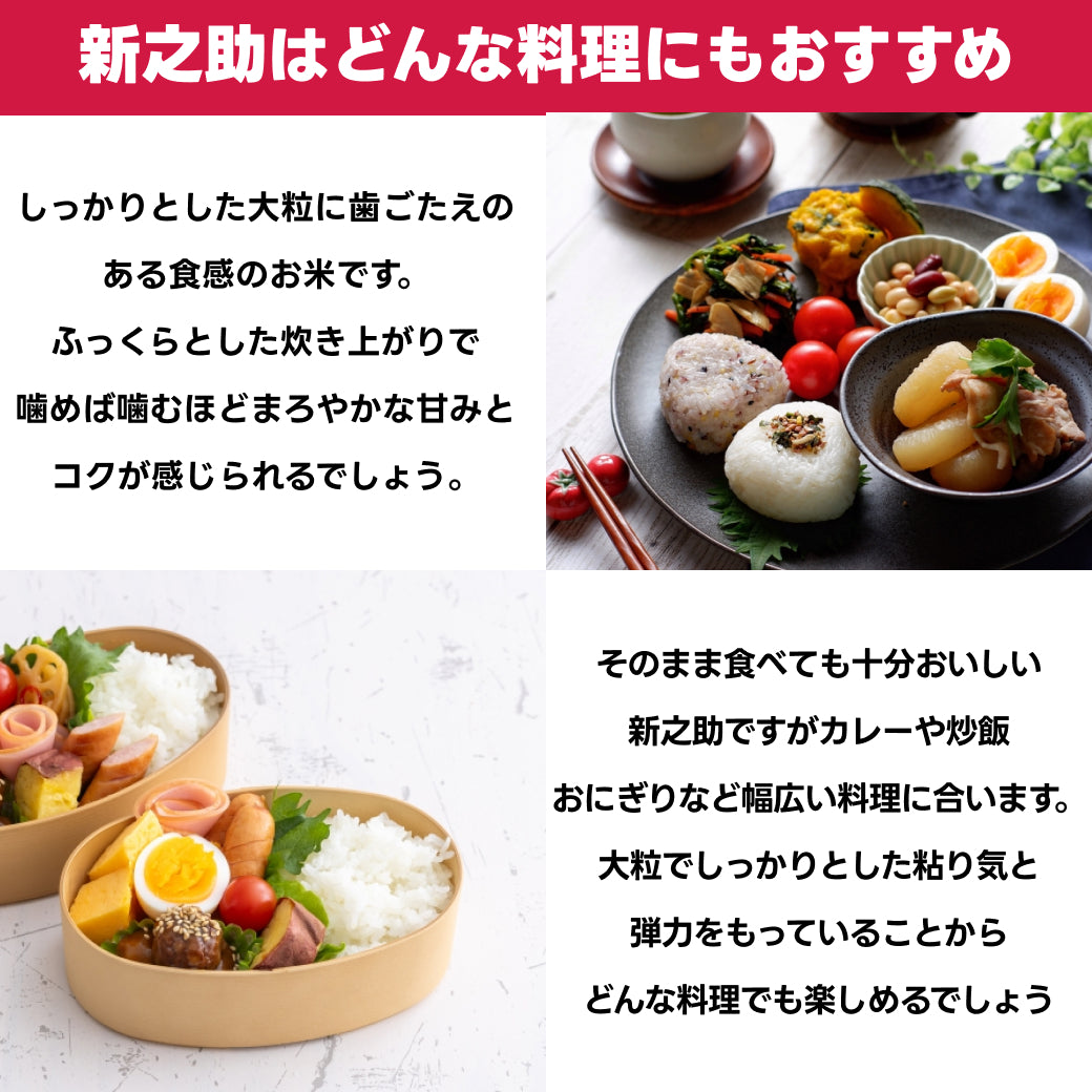 新之助に合う料理の説明