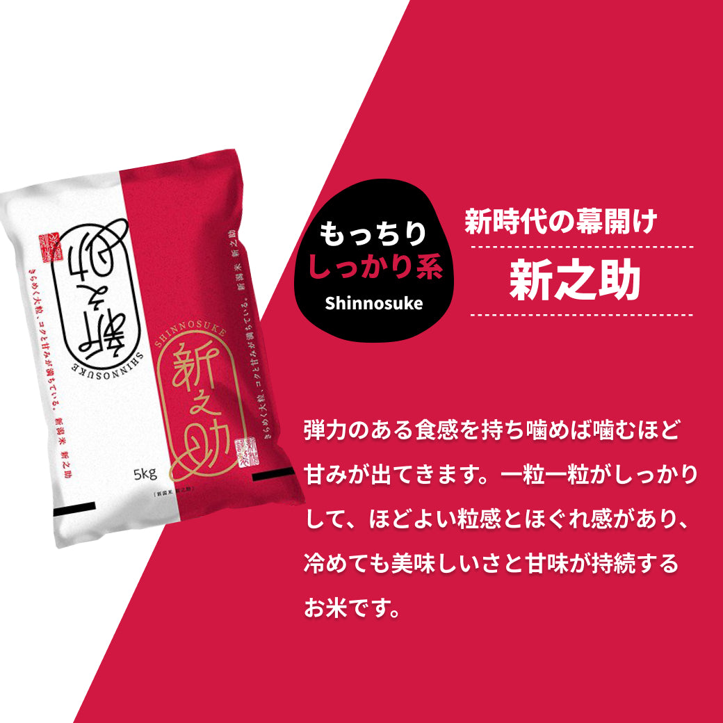 お米 新潟産 新之助 5kg しんのすけ 令和6年産