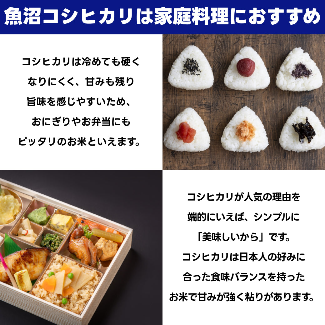 コシヒカリに合う料理