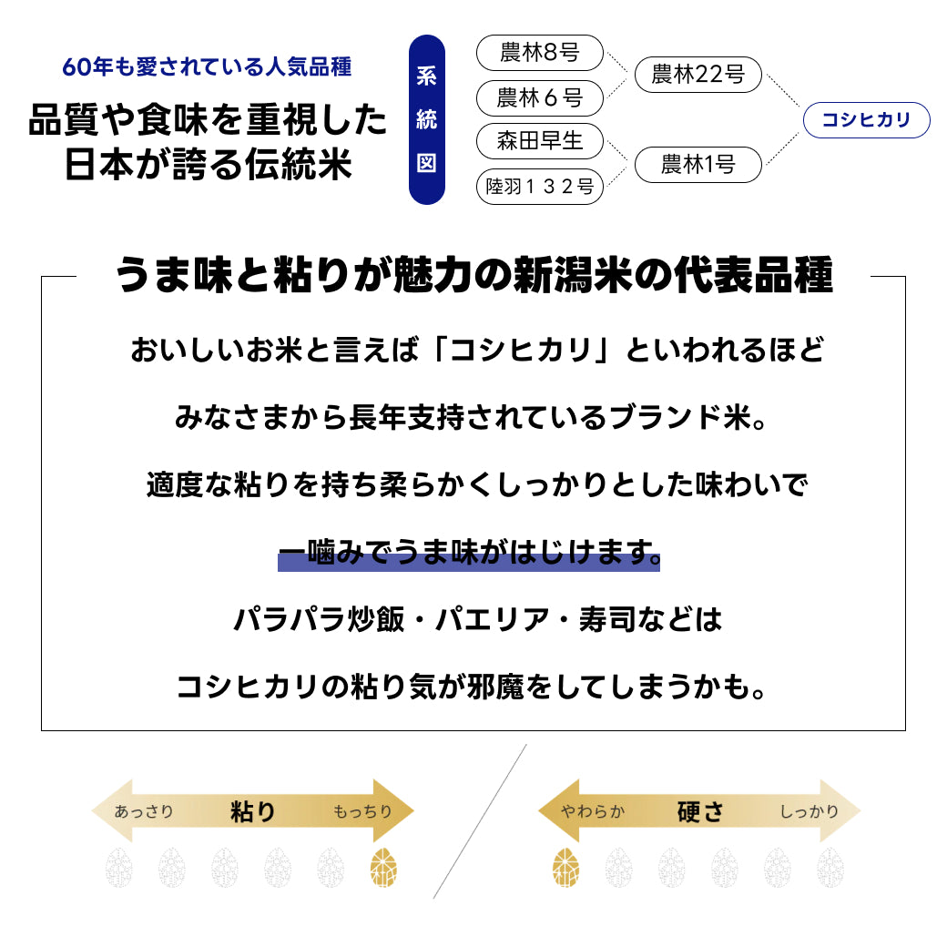 魚沼産コシヒカリ 20kg (5kg×4袋) 美味しいお米通販【米杜氏】